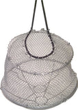 Imagen destacada de la colección - Protective Cages For Storz Coupling