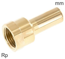 Plug-In Fittings Brass Rp-Threads Female