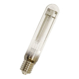 Imagen destacada de la colección - High Pressure Sodium-Vapour Lamps