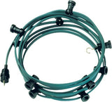 Imagen destacada de la colección - Festive Lighting
