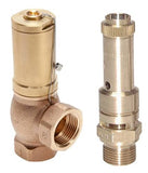 Imagen destacada de la colección - Safety And Relief Valves