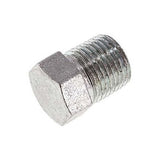 Imagen destacada de la colección - NPT End Cap And Plug Fittings