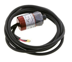 1 to 10bar SPDT Steel Pressure Switch G1/4'' 250VAC 3-wire Cable 2m