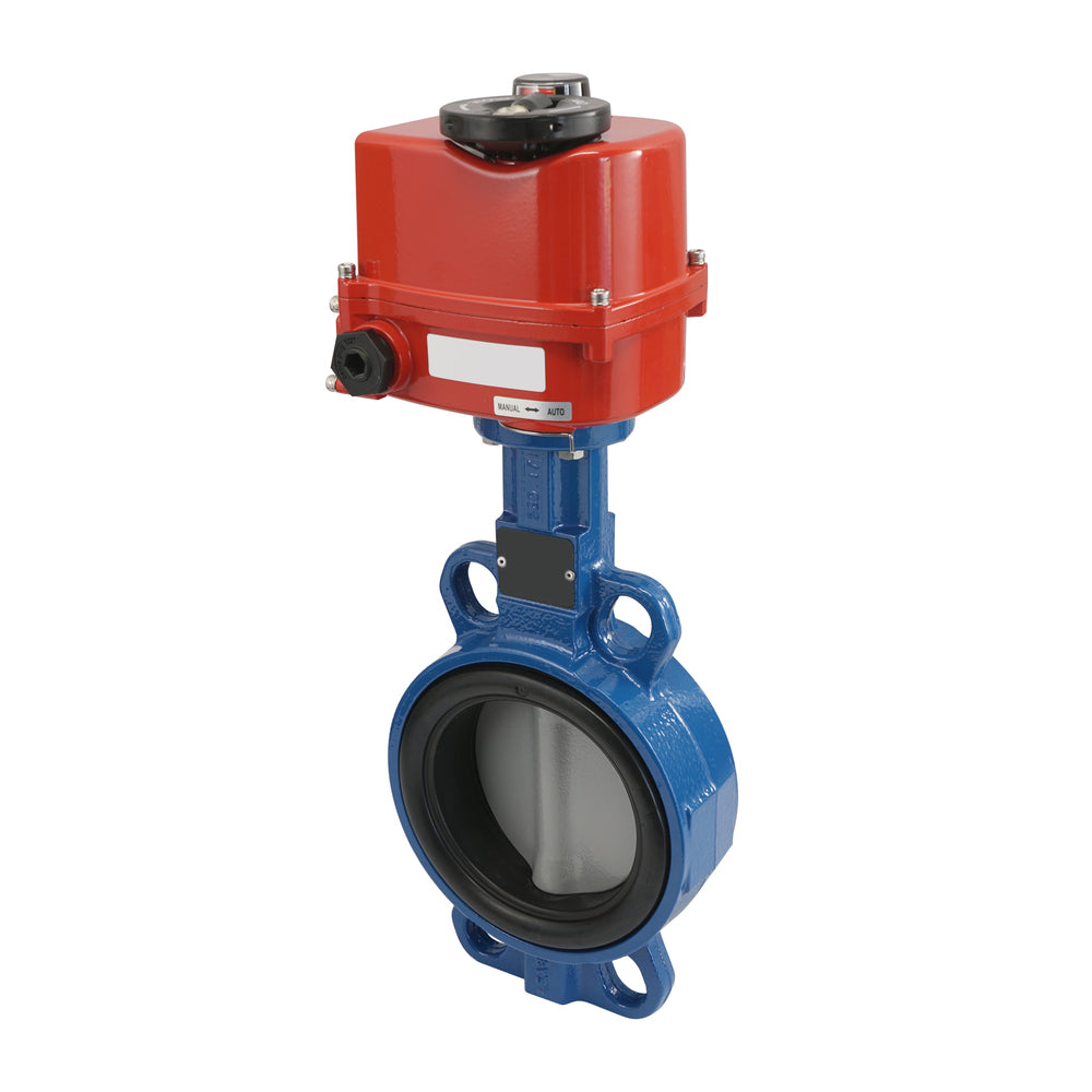 Electric Butterfly Valve DN50 24V AC/DC Lug GGG40 NBR AG5