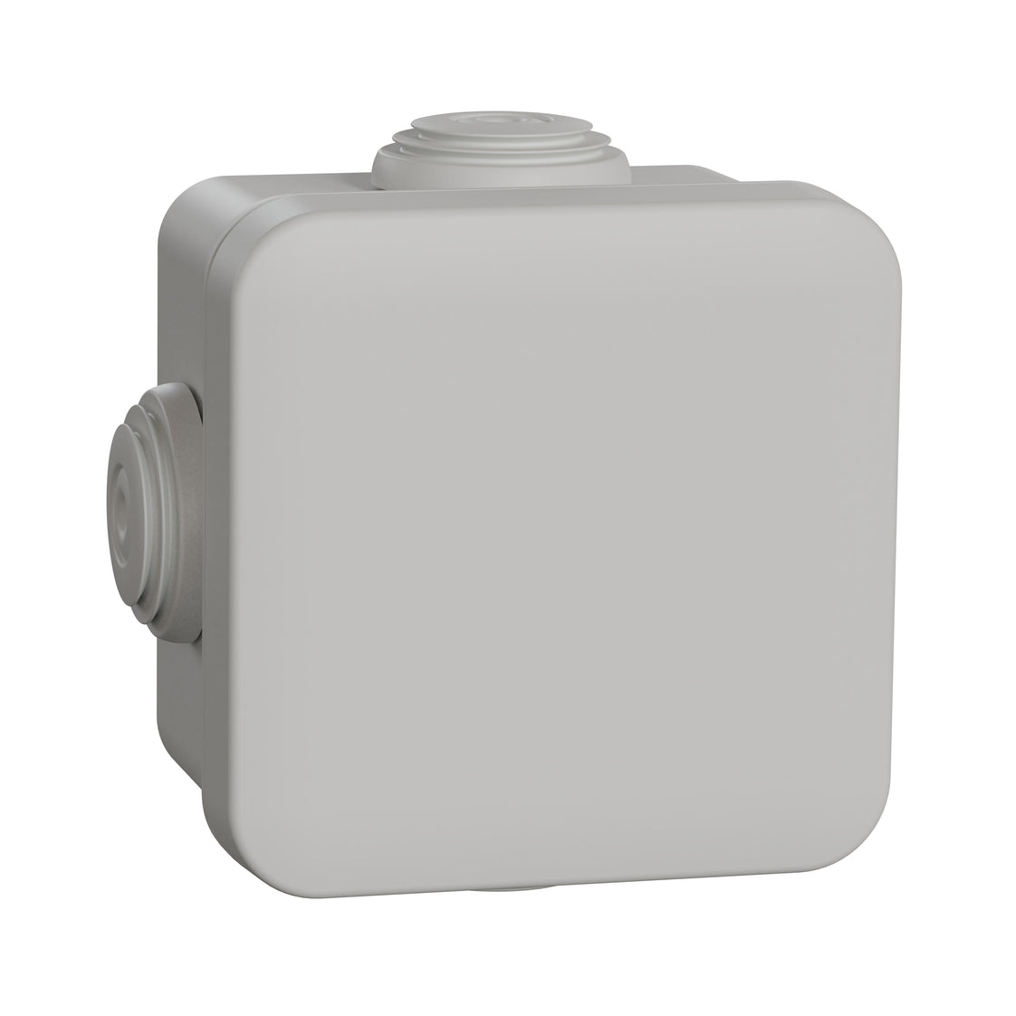 Schneider Electric Sarel MUREVA Caja de pared/techo para montaje en superficie - ENN05002 [2 Piezas]