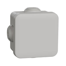 Schneider Electric Sarel MUREVA Caja de pared/techo para montaje en superficie - ENN05002 [2 Piezas]