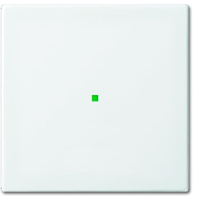 ABB Busch-Jaeger Busch-FreeAtHome Elemento de Control/Conmutador de Placa Central - 2CKA006220A0355 [2 Piezas]