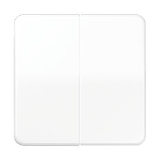 Elemento De Control/conmutador De Placa Central CD500 De Jung - CD595WW