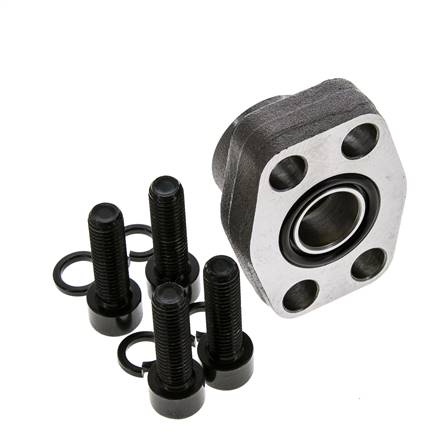 Brida 3/4'' SAE 3000 PSI Acero liso con roscas hembra G3/4'' ISO 6162-1