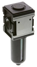 Microfiltro 0.01micrones G1'' 1500l/min Jaula de Protección Semiautomática de Policarbonato Multifix 4