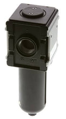 Microfiltro 0.01micrones G1'' 1500l/min Jaula de Protección Semiautomática de Policarbonato Multifix 4