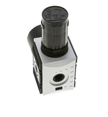 Regulador de presión para ensamblaje de colector G1/4'' 2000l/min 0.5-10.0bar/7-145psi PA Futura 1