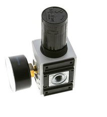 Regulador de presión para ensamblaje de colector G1/4'' 2000l/min 0.5-8.0bar/7-116psi PA Futura 1