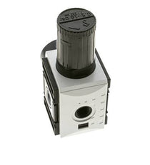Regulador de presión para ensamblaje de colector G1/2''&3/8'' 5200l/min 0.5-16.0bar/7-232psi PA Futura 2