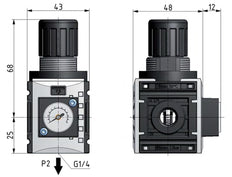 Regulador de presión para ensamblaje de colector G1/4'' 1000l/min 0.2-4.0bar/3-58psi PA Futura 0