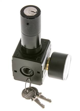 Regulador de presión para ensamblaje de colector G1/4'' 2250l/min 0.1-3.0bar/1-44psi Fundición de zinc 40 mm Manómetro Multifix 1