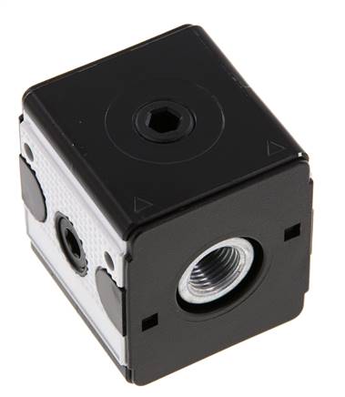 Distribuidor G1/4 2500 l/min Multifix 1
