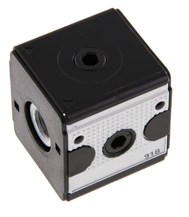 Distribuidor G1/4 2500 l/min Multifix 1