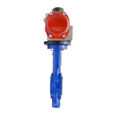Válvula Mariposa Neumática DN65 (2-1/2 Pulgada) Lug Fundición De Hierro GGG 40 EPDM Doble Efecto