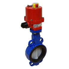 DN50 (2 inch) 12VAC Lug Electric Butterfly Valve GG25-Cast iron-EPDM - BFLL