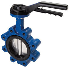 DN65 (2-1/2 inch) PN12 Lug Butterfly Valve GG25-Stainless steel-EPDM