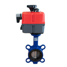 Electric Butterfly Valve DN100 24-240V AC/DC Fail-Safe Wafer GGG40 EPDM J+J