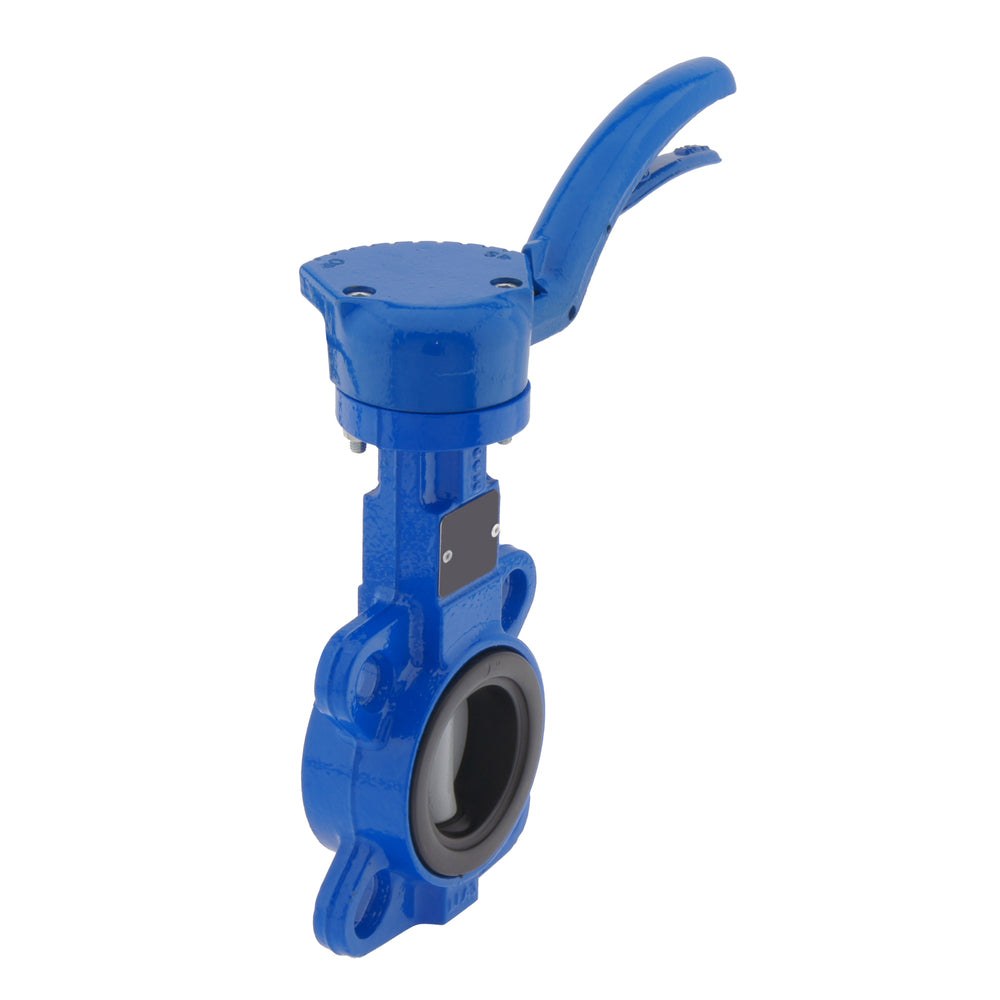 DN65 (2-1/2 inch) PN10 Wafer Butterfly Valve GGG40-Stainless steel-PTFE/Silicone (Composite)