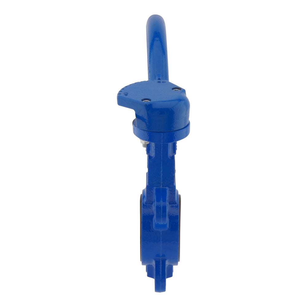 DN65 (2-1/2 inch) PN16 Wafer Butterfly Valve Stainless steel-Stainless steel-EPDM