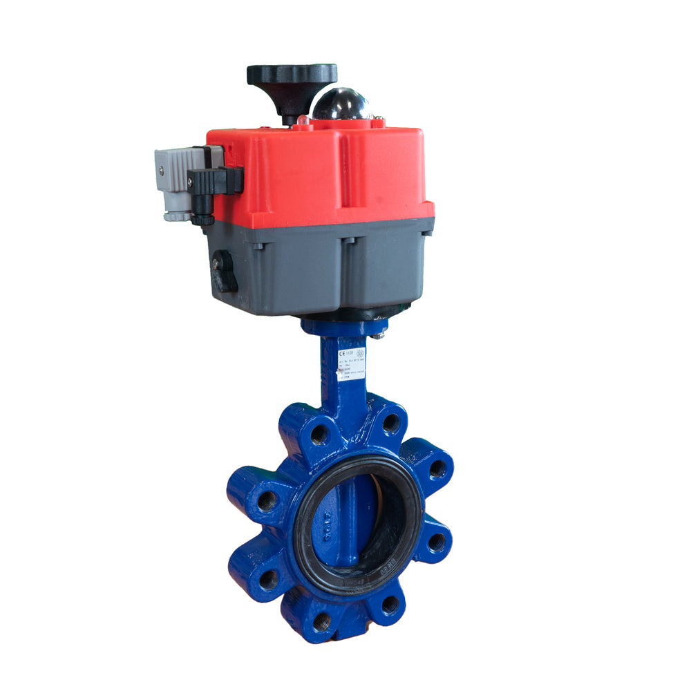 Electric Butterfly Valve DN50 24-240V AC/DC Lug GGG40 NBR J+J