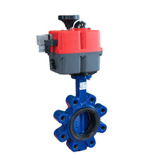 Electric Butterfly Valve DN125 24-240V AC/DC Lug GGG40 EPDM J+J