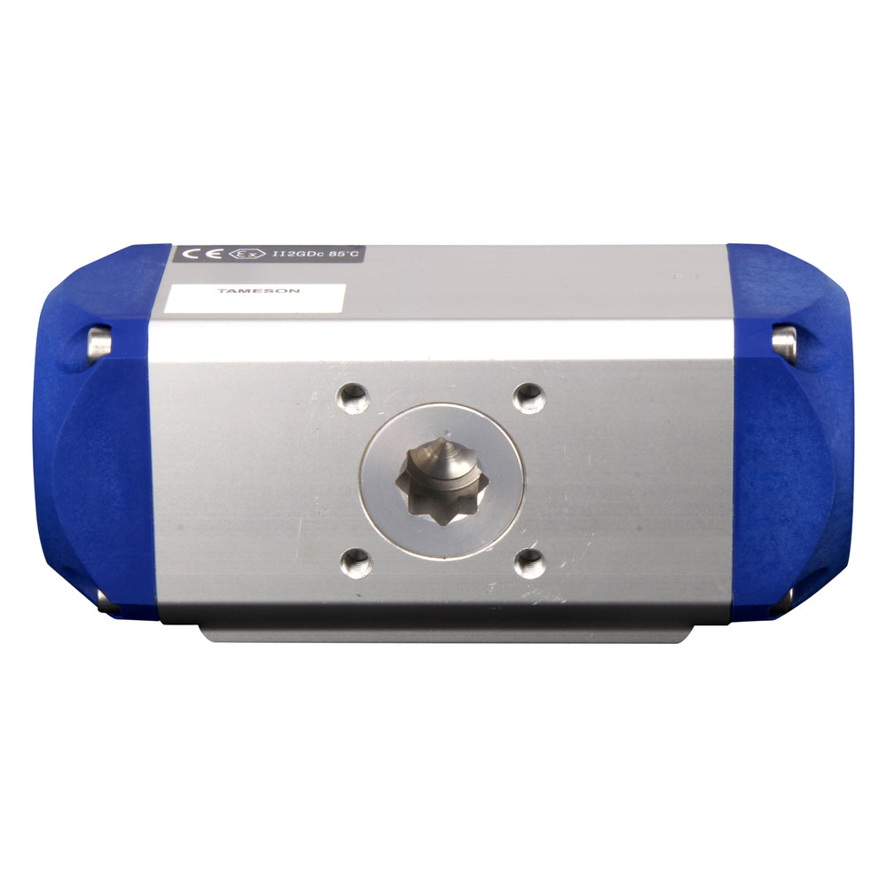 DN25 (1 inch) Wafer Pneumatic Butterfly Valve GG25-Stainless Steel-EPDM Double Acting - BFLW