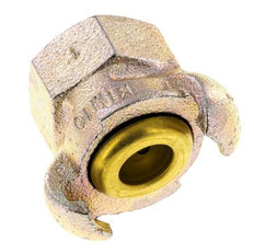 Hierro fundido DN 17 DIN 3489 Acoplamiento de garras giratorias Rp 1'' Hembra