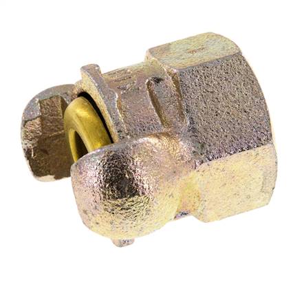 Hierro fundido DN 17 DIN 3489 Acoplamiento de garras giratorias Rp 1'' Hembra