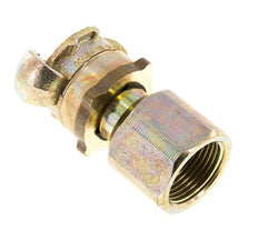 Hierro fundido DN 17 DIN 3238 Acoplamiento de garras giratorias G 1'' Hembra
