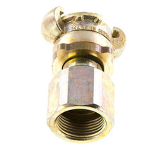 Hierro fundido DN 17 DIN 3238 Acoplamiento de garras giratorias G 1'' Hembra