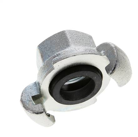 Hierro fundido DN 20 DIN 3489 Acoplamiento de garras giratorias Rp 3/4'' Hembra