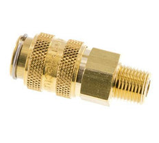 Brass DN 5 Air Coupling Socket 1/8 inch Male NPT