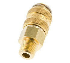 Brass DN 5 Air Coupling Socket 1/8 inch Male NPT