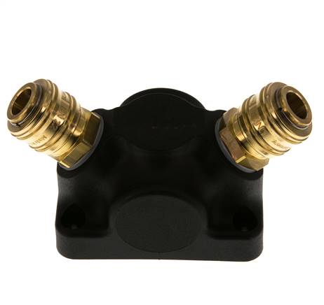 Latón/plástico DN 7,2 (Euro) Acoplamiento de aire Enchufe G 3/4 pulgadas Hembra Montaje en pared 2 vías