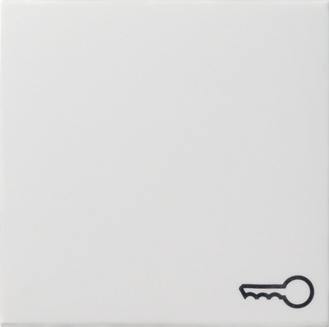 Gira System 55 Control Element/Central Plate Switchgear - 028727 [2 Pieces]