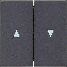 Gira System 55 Control Element/Central Plate Switchgear - 029428