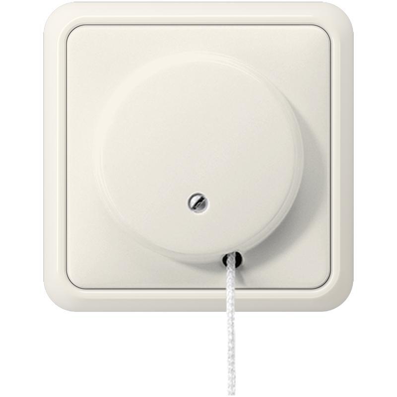 Jung ST550 Installation Switch - 5506ZU