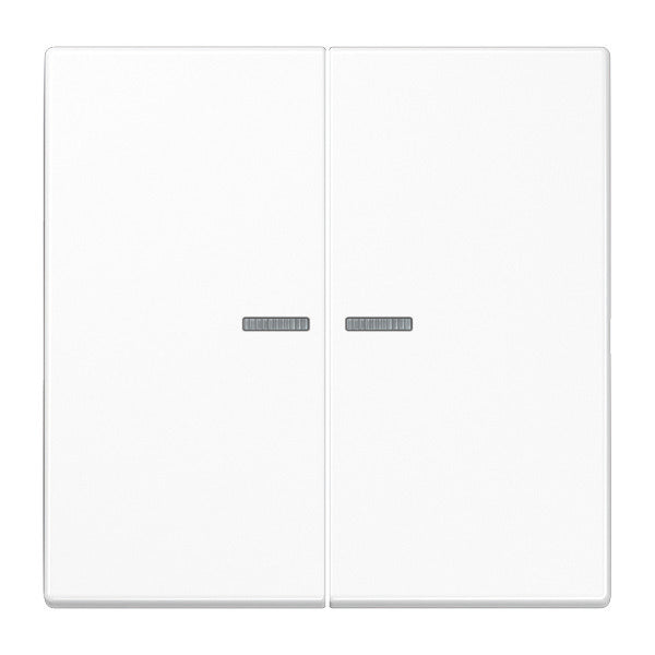 Jung LS RANGE Control Element/Central Plate Switchgear - LS995KO5WW