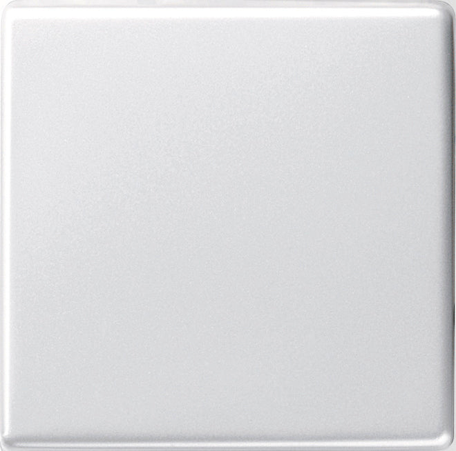 Gira System 55 Control Element/Central Plate Switchgear - 029603 [2 Pieces]