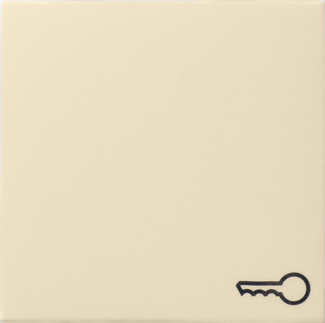 Gira System 55 Control Element/Central Plate Switchgear - 028701 [2 Pieces]