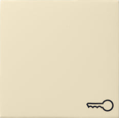 Gira System 55 Control Element/Central Plate Switchgear - 028701 [2 Pieces]