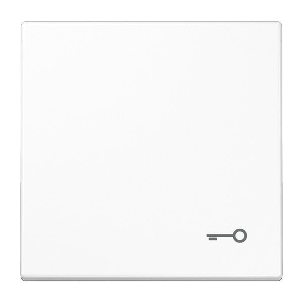 Jung LS990 Control Element/Central Plate Switchgear - LS990TWW