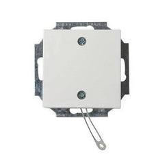 ABB Busch-Jaeger Installation Switch - 2CKA009999A2610
