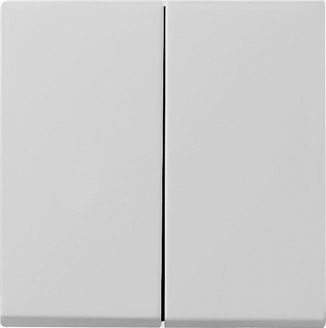 Gira System 55 Control Element/Central Plate Switchgear - 0295015