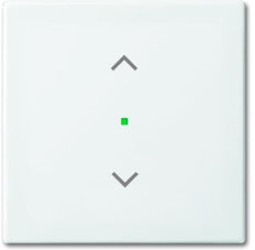 ABB Busch-Jaeger Busch-FreeAtHome Control Element/Central Plate Switchgear - 2CKA006220A0357 [2 Pieces]